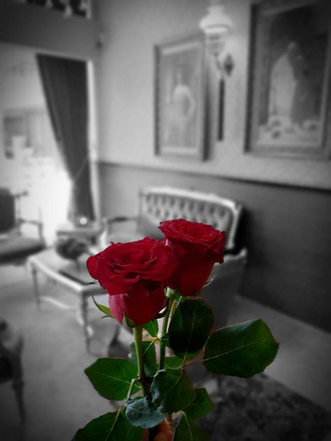איסטמבול Elysion Hotel מראה חיצוני תמונה